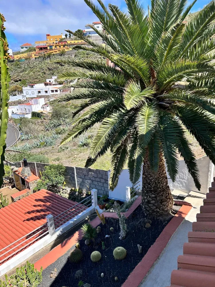 38 Dom z widokiem na ocean i działką 1800 m² w Buenavista, Gáldar