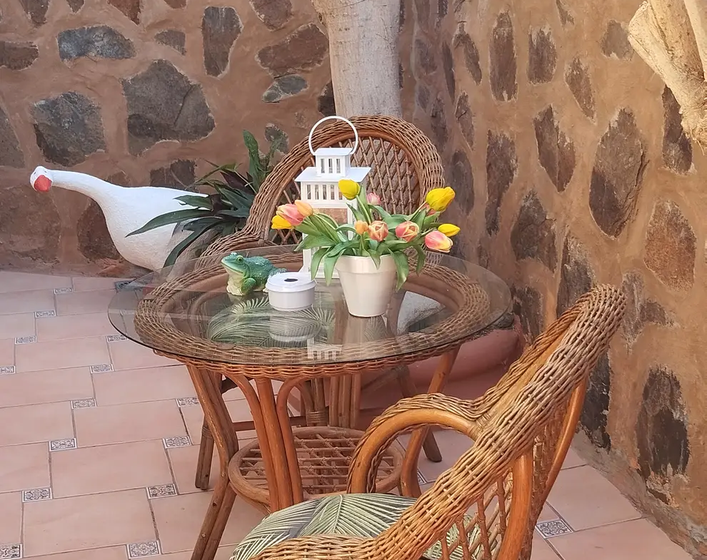 Umeblowany dom narożny z ogrodem i tarasem w San Fernando