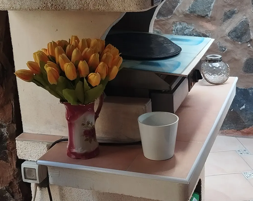 Umeblowany dom narożny z ogrodem i tarasem w San Fernando